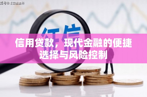 砀山信用贷款，现代金融的便捷选择与风险控制