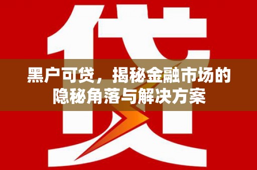 砀山黑户可贷，揭秘金融市场的隐秘角落与解决方案