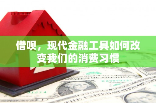 砀山借呗，现代金融工具如何改变我们的消费习惯