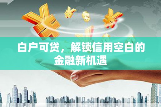 砀山白户可贷，解锁信用空白的金融新机遇