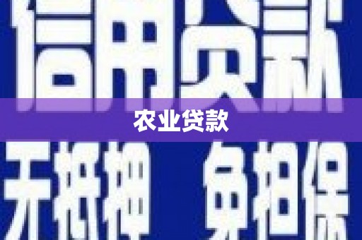 砀山农业贷款