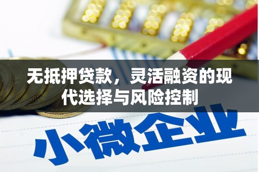 砀山无抵押贷款，灵活融资的现代选择与风险控制