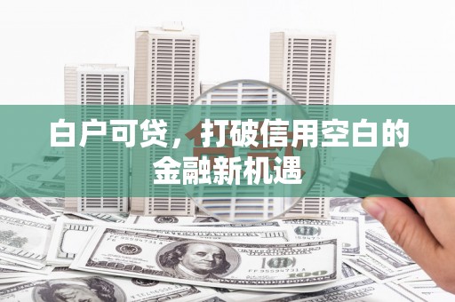 砀山白户可贷，打破信用空白的金融新机遇