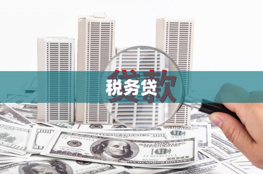 砀山税务贷