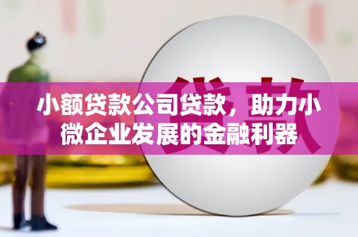 砀山小额贷款公司贷款，助力小微企业发展的金融利器