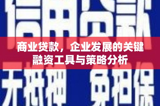 砀山商业贷款，企业发展的关键融资工具与策略分析