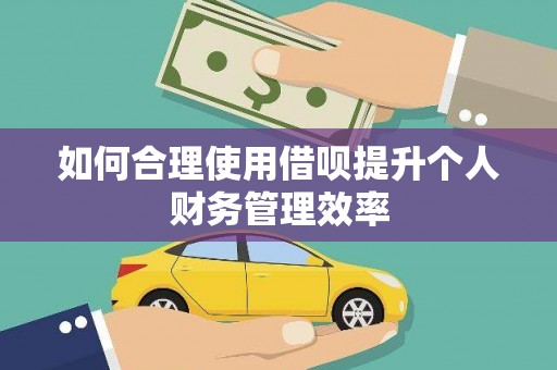 砀山如何合理使用借呗提升个人财务管理效率