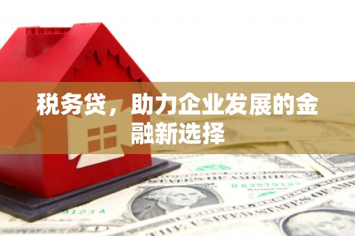 砀山税务贷，助力企业发展的金融新选择