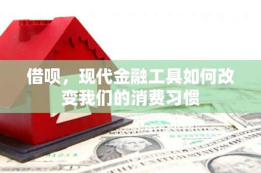 砀山借呗，现代金融工具如何改变我们的消费习惯
