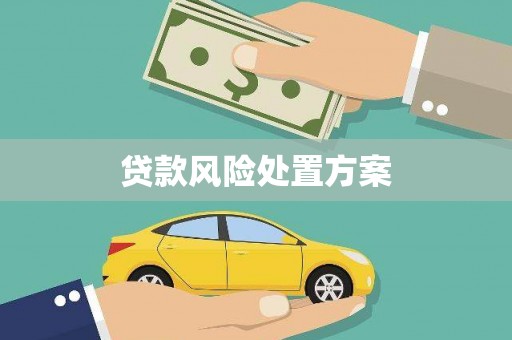 砀山贷款风险处置方案