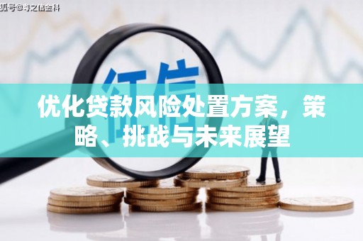 砀山优化贷款风险处置方案，策略、挑战与未来展望