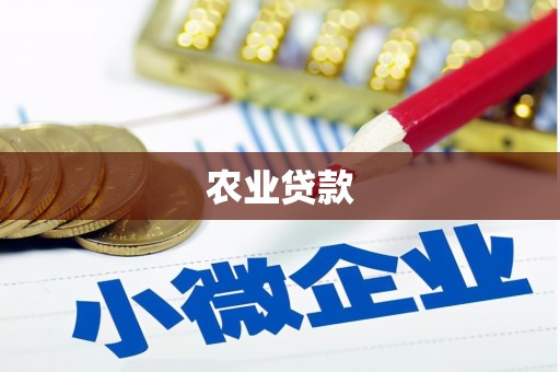 砀山农业贷款