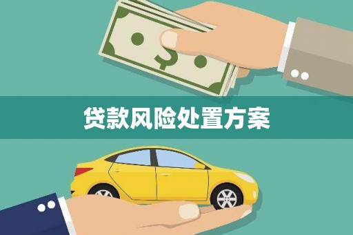 砀山贷款风险处置方案