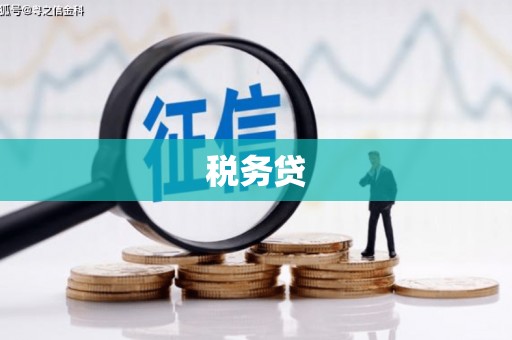 砀山税务贷