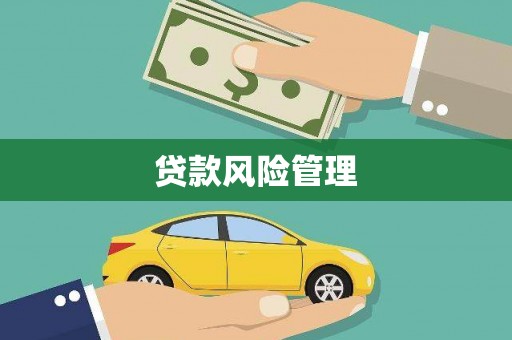 砀山贷款风险管理