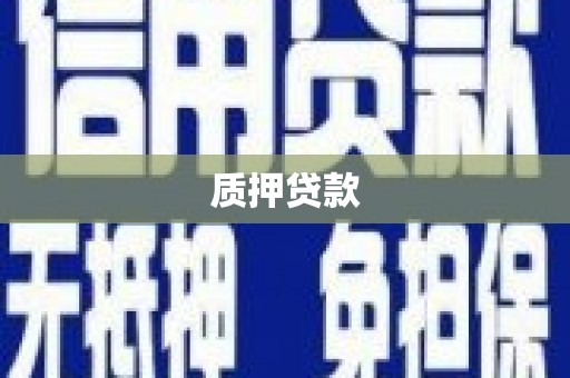 砀山质押贷款