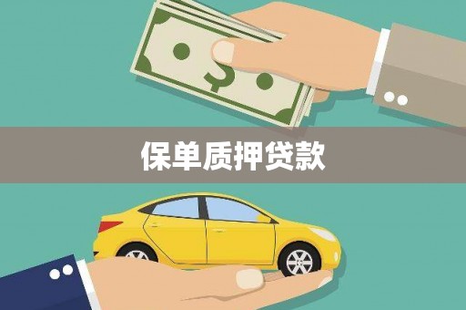 砀山保单质押贷款