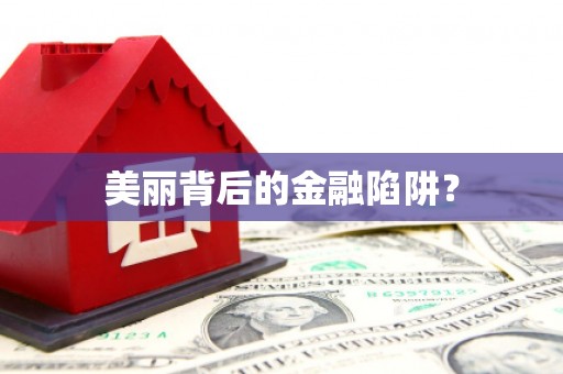 砀山美丽背后的金融陷阱？