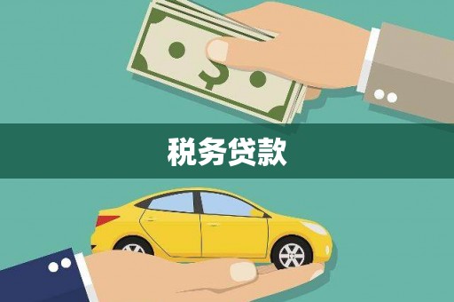 砀山税务贷款