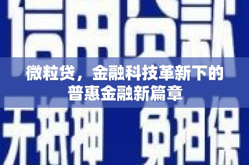 砀山微粒贷，金融科技革新下的普惠金融新篇章