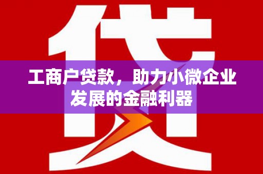 砀山工商户贷款，助力小微企业发展的金融利器