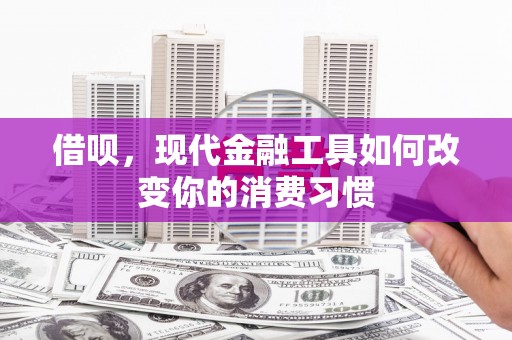 砀山借呗，现代金融工具如何改变你的消费习惯
