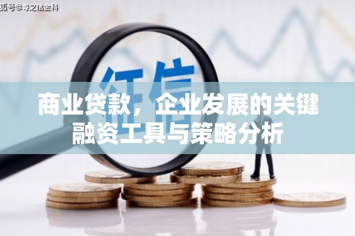 砀山商业贷款，企业发展的关键融资工具与策略分析