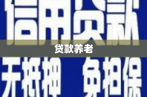砀山贷款养老