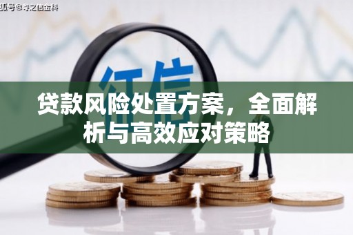 砀山贷款风险处置方案，全面解析与高效应对策略