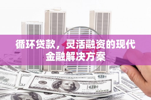 砀山循环贷款，灵活融资的现代金融解决方案