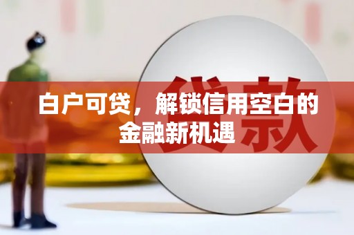 砀山白户可贷，解锁信用空白的金融新机遇