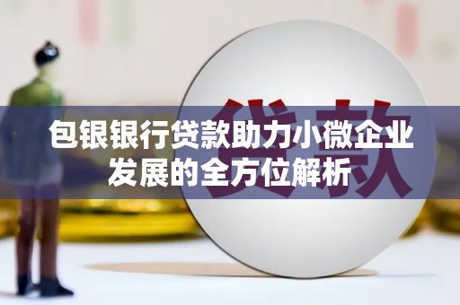 砀山包银银行贷款助力小微企业发展的全方位解析