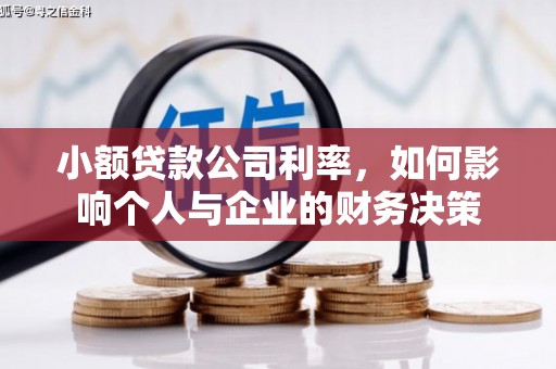 砀山小额贷款公司利率，如何影响个人与企业的财务决策