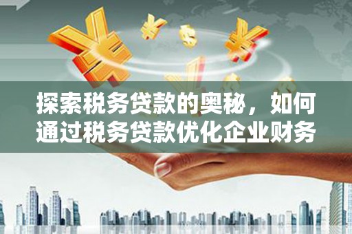 砀山探索税务贷款的奥秘，如何通过税务贷款优化企业财务