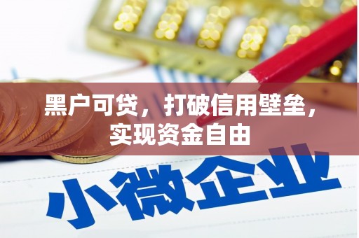 砀山黑户可贷，打破信用壁垒，实现资金自由