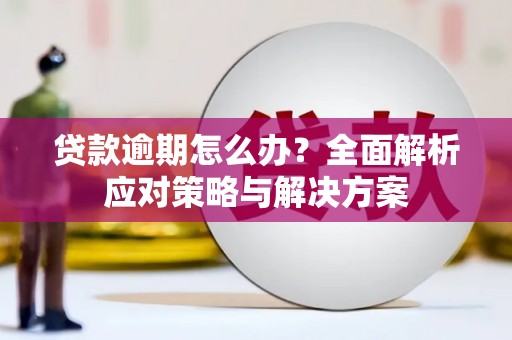 砀山贷款逾期怎么办？全面解析应对策略与解决方案