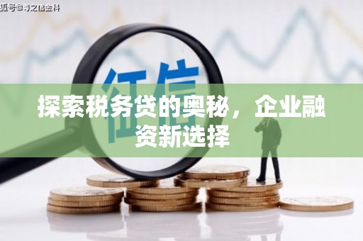 砀山探索税务贷的奥秘，企业融资新选择