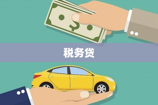 砀山税务贷