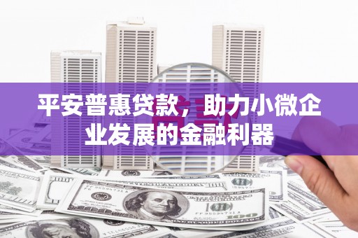 砀山平安普惠贷款，助力小微企业发展的金融利器