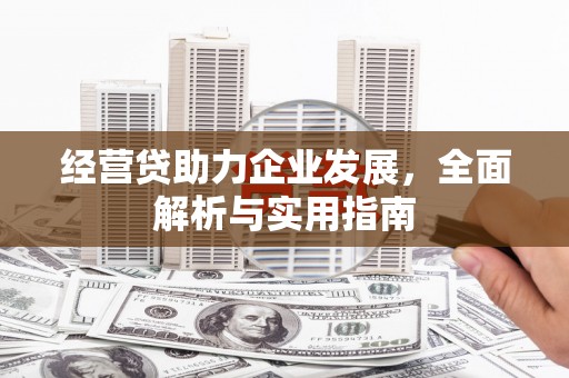 砀山经营贷助力企业发展，全面解析与实用指南