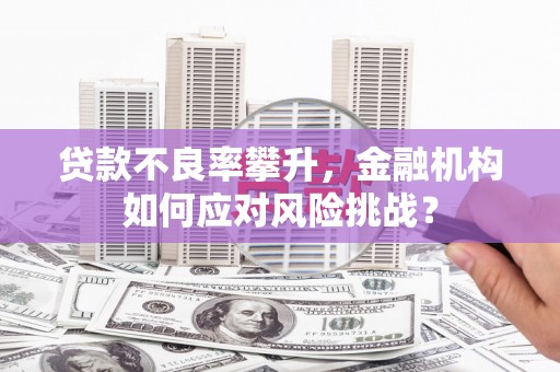 砀山贷款不良率攀升，金融机构如何应对风险挑战？