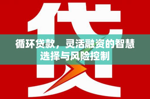 砀山循环贷款，灵活融资的智慧选择与风险控制