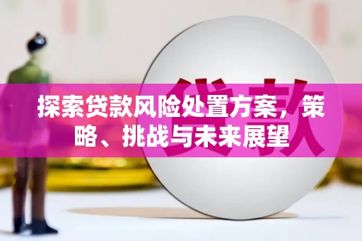 砀山探索贷款风险处置方案，策略、挑战与未来展望