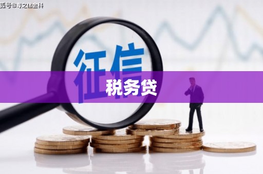 砀山税务贷