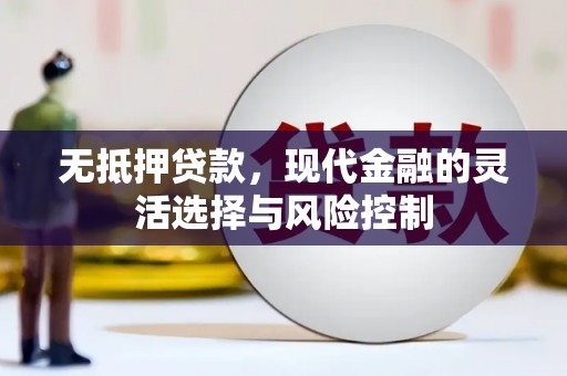 砀山无抵押贷款，现代金融的灵活选择与风险控制