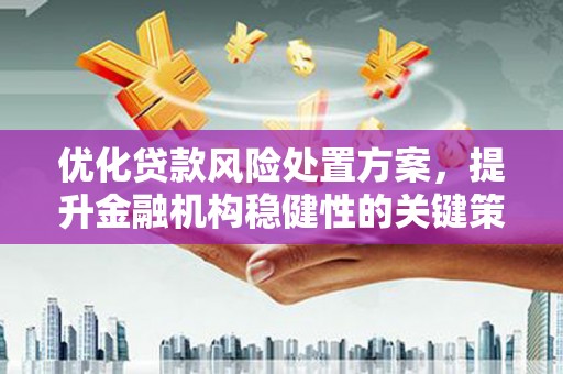 砀山优化贷款风险处置方案，提升金融机构稳健性的关键策略