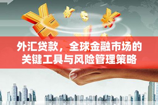 砀山外汇贷款，全球金融市场的关键工具与风险管理策略