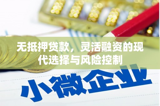 砀山无抵押贷款，灵活融资的现代选择与风险控制