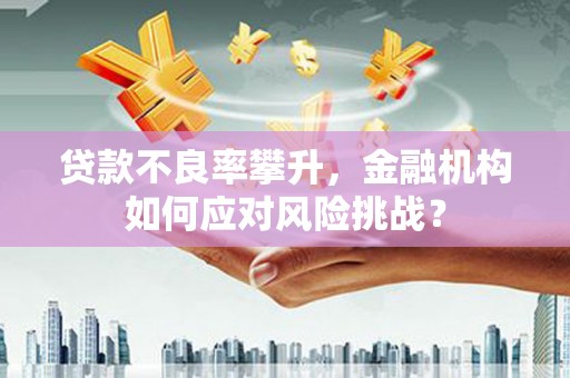 砀山贷款不良率攀升，金融机构如何应对风险挑战？