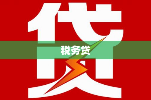 砀山税务贷